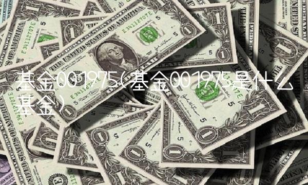 基金001975(基金001975是什么基金)(1)