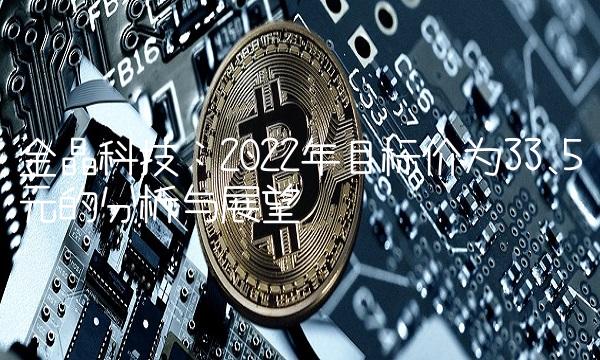 金晶科技：2022年目标价为33.5元的分析与展望