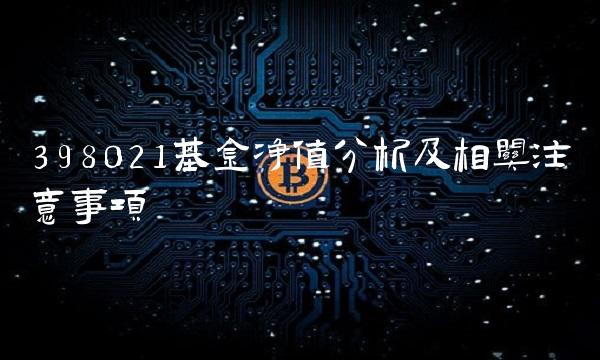 398021基金净值分析及相关注意事项