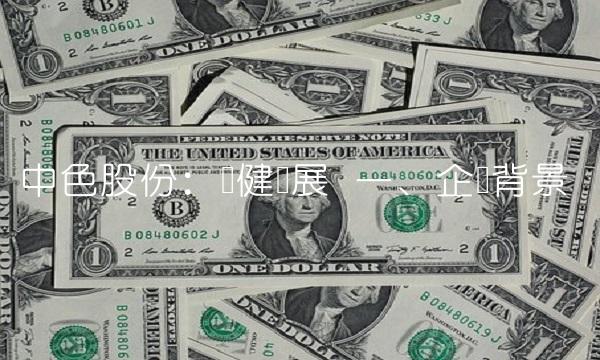 中色股份：稳健发展 一、企业背景