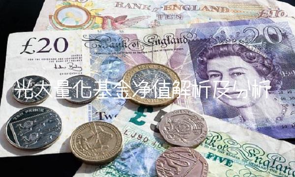 光大量化基金净值解析及分析