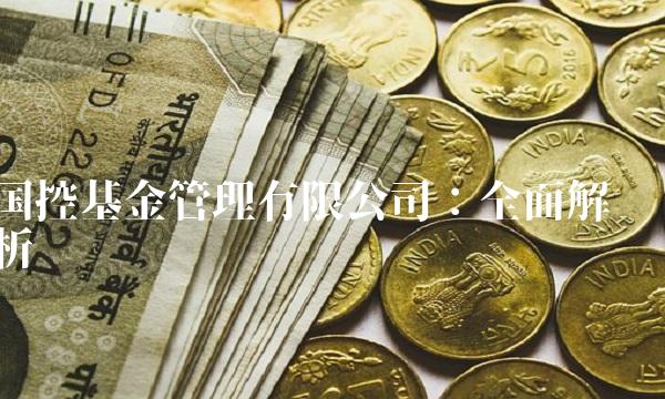 国控基金管理有限公司：全面解析