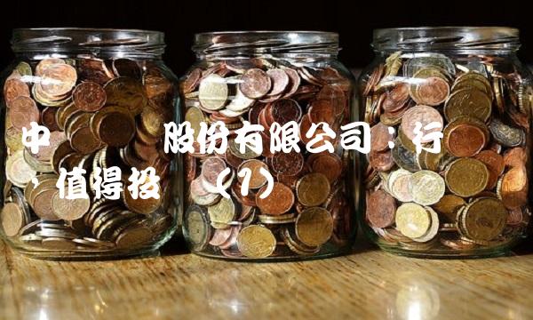 中国医药股份有限公司：行业龙头，值得投资（1）