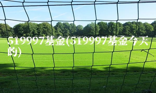 519997基金(519997基金今天的)