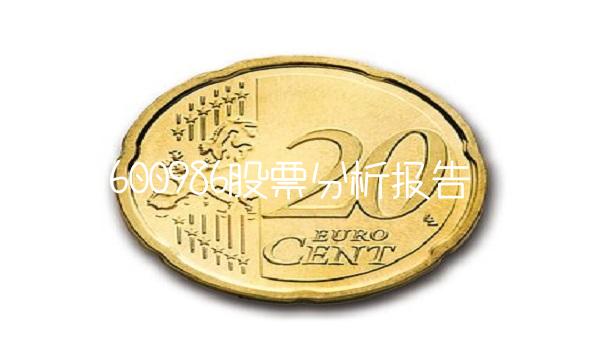600986股票分析报告(1)