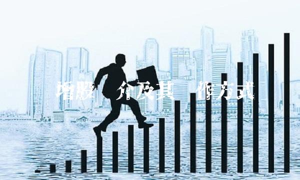 转增股简介及其运作方式
