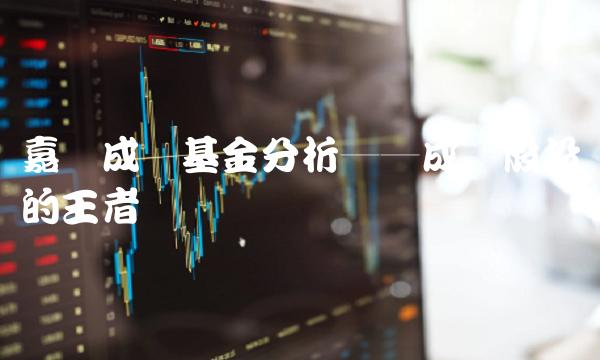 嘉实成长基金分析──成长股投资的王者
