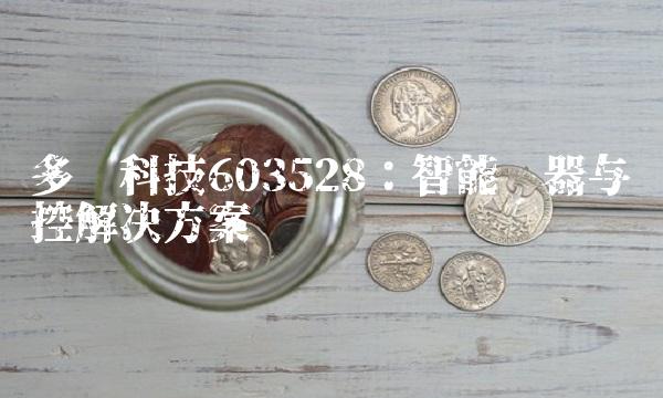 多伦科技603528：智能仪器与测控解决方案