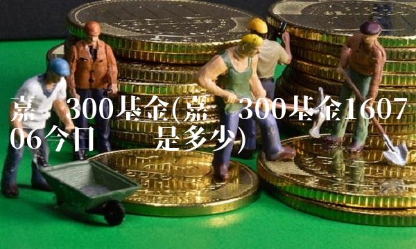 嘉实300基金(嘉实300基金160706今日净值是多少)