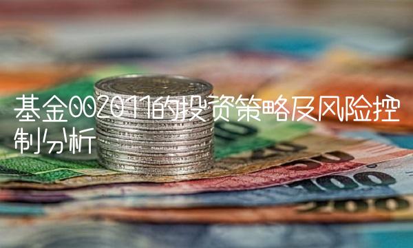 基金002011的投资策略及风险控制分析