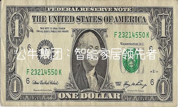 公牛集团：智能家居领先者