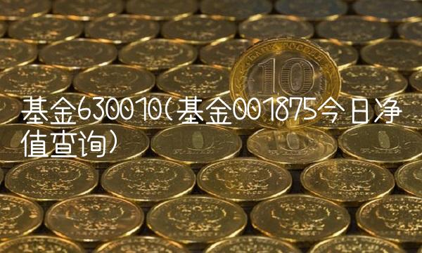 基金630010(基金001875今日净值查询)