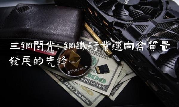 三钢闽光：钢铁行业迈向高质量发展的先锋