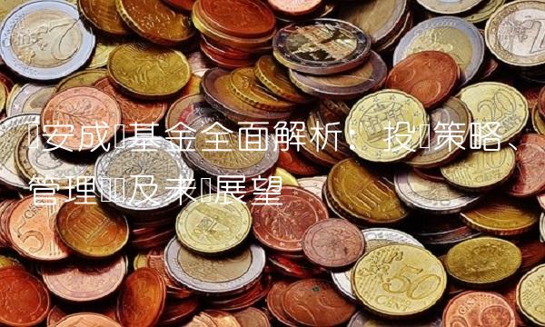 华安成长基金全面解析：投资策略、管理团队及未来展望