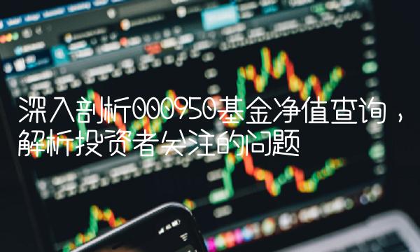 深入剖析000950基金净值查询，解析投资者关注的问题