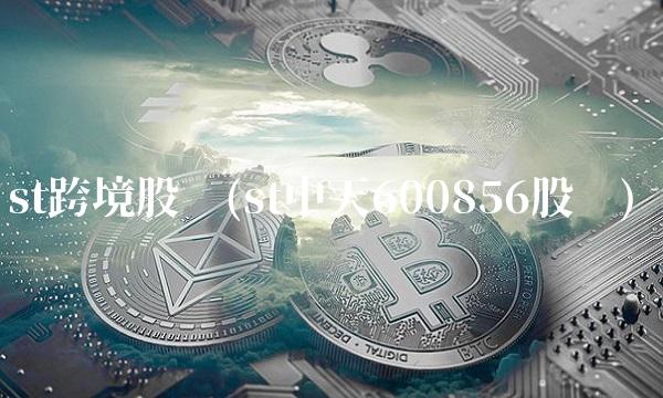 st跨境股吧(st中天600856股吧)