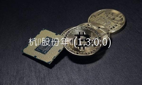 杭钢股份年报(1;3;0;0)(1)