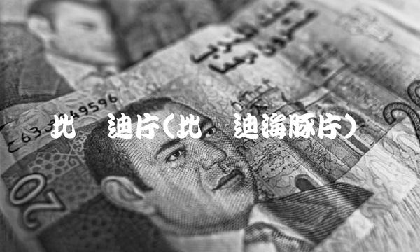 比亚迪片(比亚迪海豚片)(1)