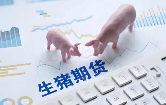 猪期货一手多少钱？保证金与手续费
