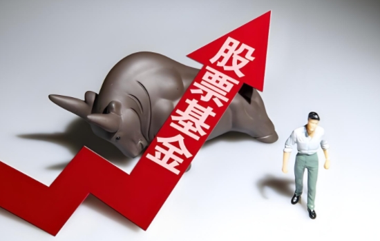 股票型基金有哪些？类型多样，投资策略各异