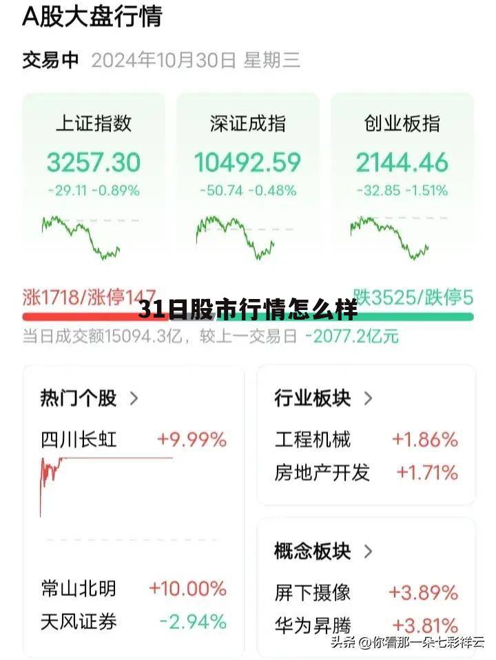 31日股市行情怎么样呀 31日股市行情怎么样