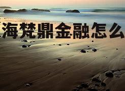 上海金融诈骗公司名单 上海梵鼎金融怎么样