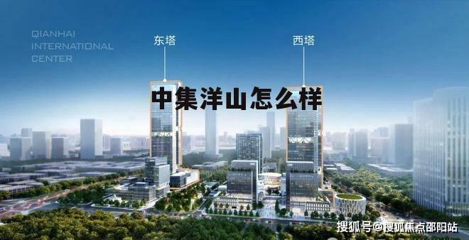 上海中集洋山集装箱服务有限公司 中集洋山怎么样
