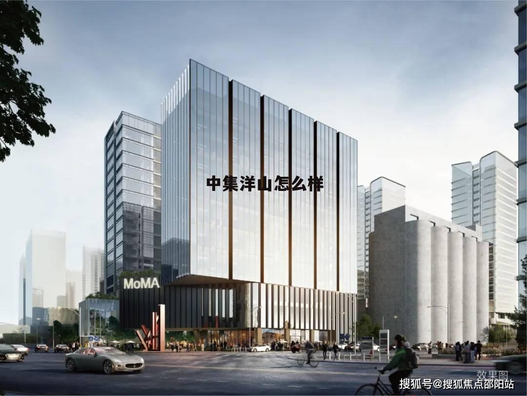 上海中集洋山集装箱服务有限公司 中集洋山怎么样