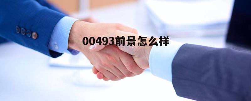 004930基金怎么样 00493前景怎么样