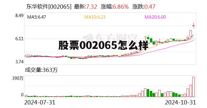 股票002066 股票002065怎么样