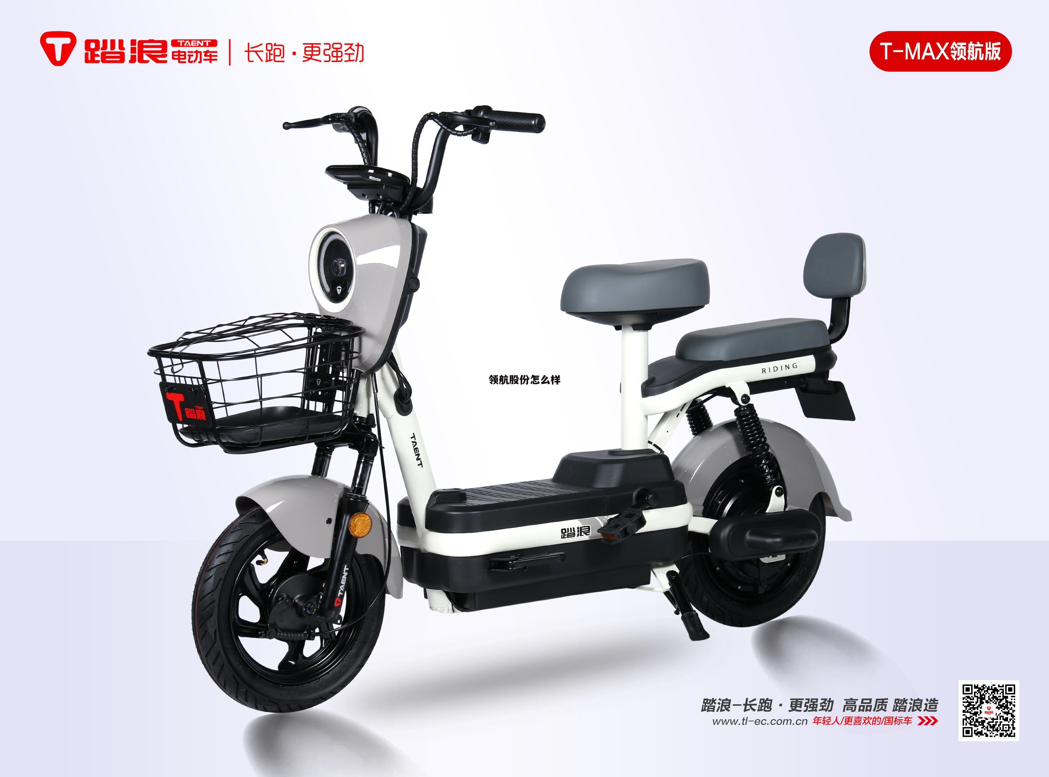 领航集团持股 领航股份怎么样