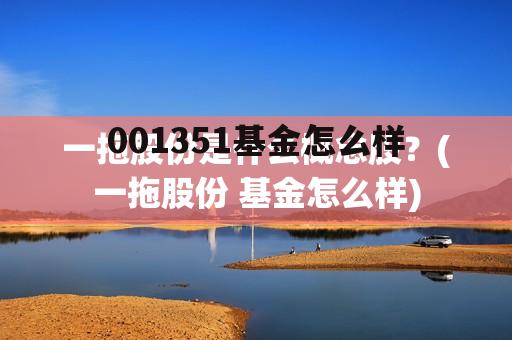 001113基金今日估值 001351基金怎么样
