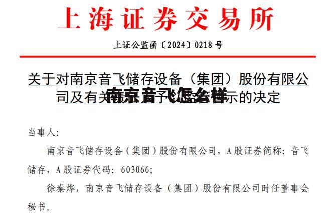 南京音飞储存设备集团股份有限公司 南京音飞怎么样