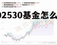 基金002533 002530基金怎么样