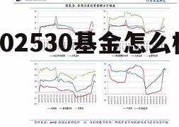 基金002533 002530基金怎么样