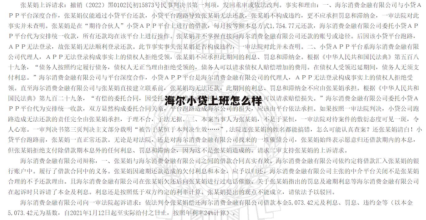 海尔小额贷款有限公司招聘 海尔小贷上班怎么样
