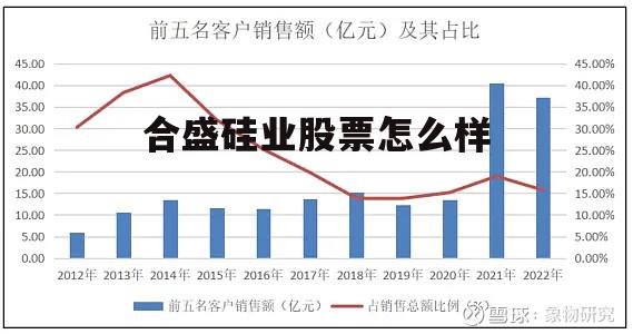 合盛硅业是龙头吗 合盛硅业股票怎么样