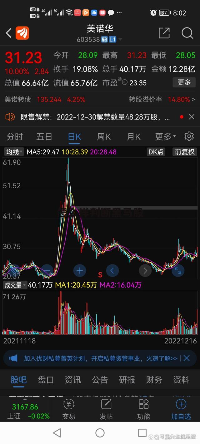 怎么样判断黑马股票 怎么样判断黑马股