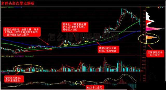 怎么样判断黑马股票 怎么样判断黑马股