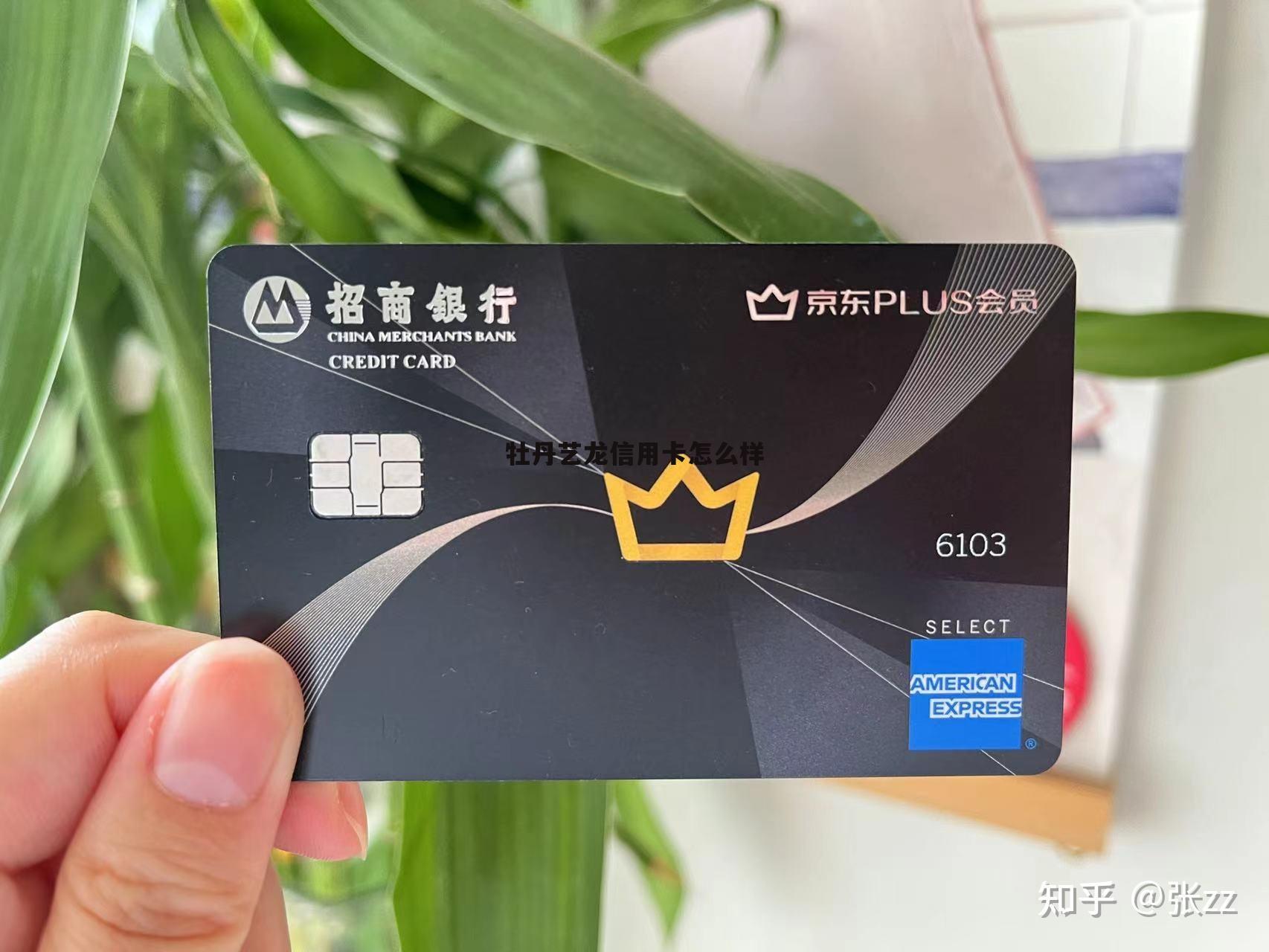 牡丹消费分期卡 牡丹艺龙信用卡怎么样