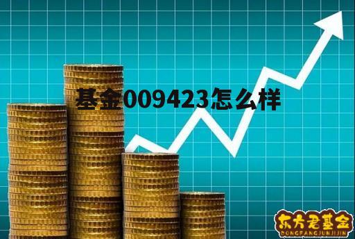 009994基金今日估值 基金009423怎么样