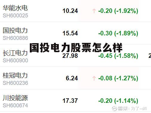 国投电力股份 国投电力股票怎么样