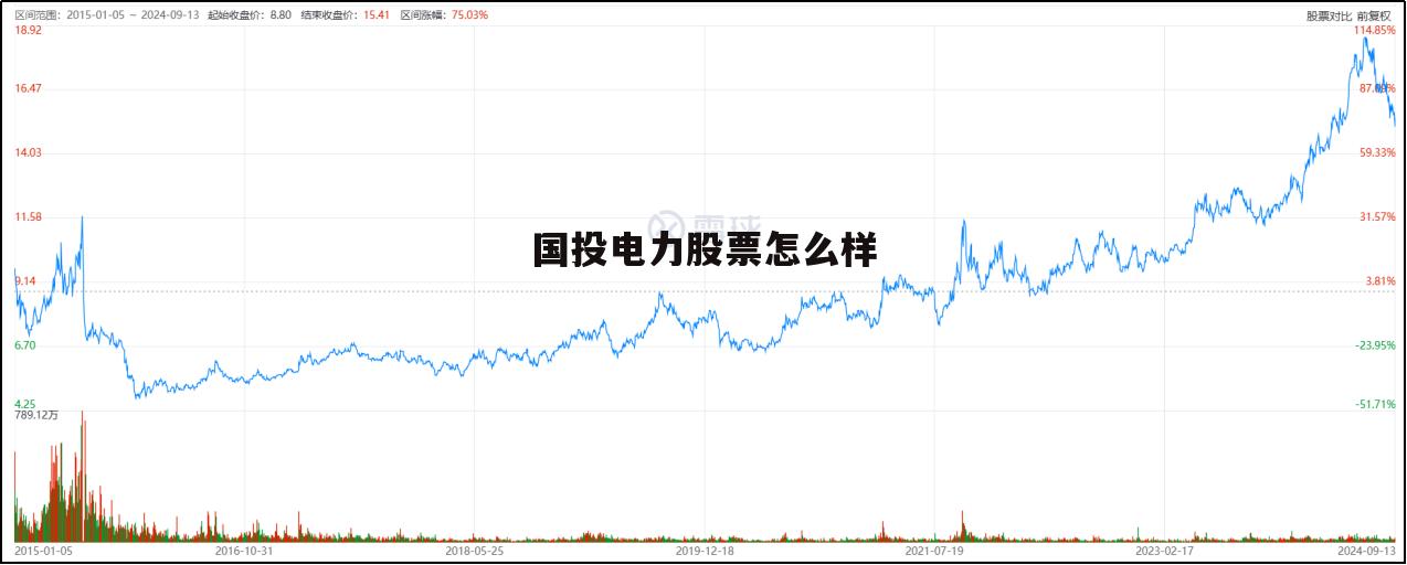 国投电力股份 国投电力股票怎么样