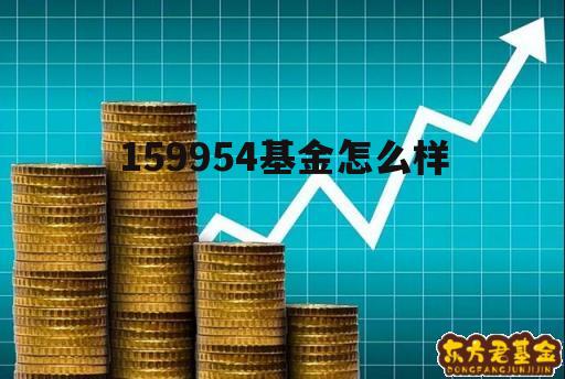 关于159954基金怎么样的信息