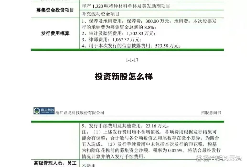 投资新股怎么样赚钱 投资新股怎么样