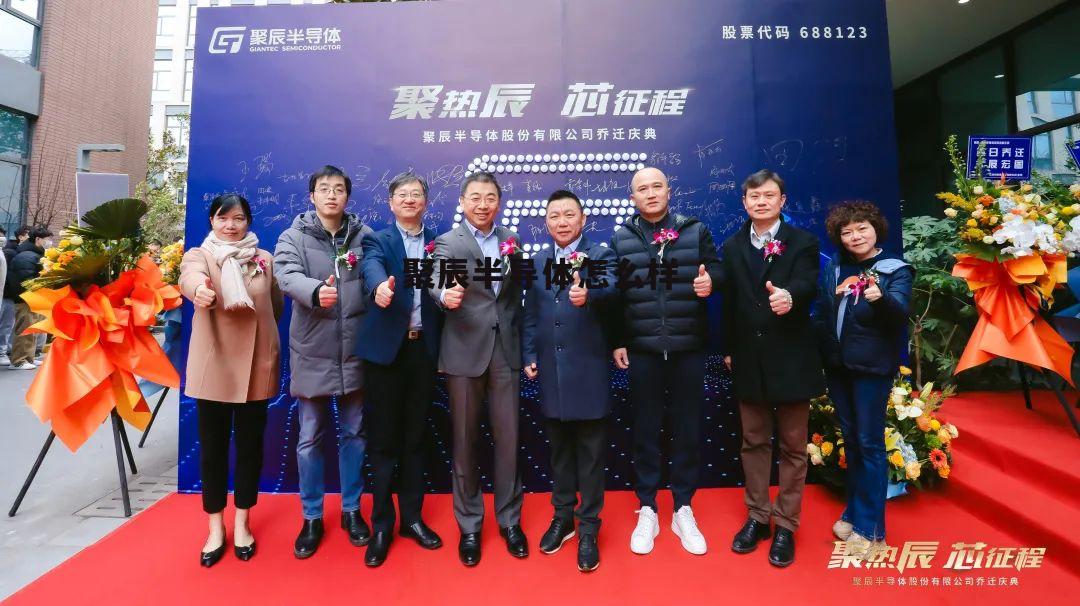 聚辰半导体股份有限公司前景 聚辰半导体怎么样
