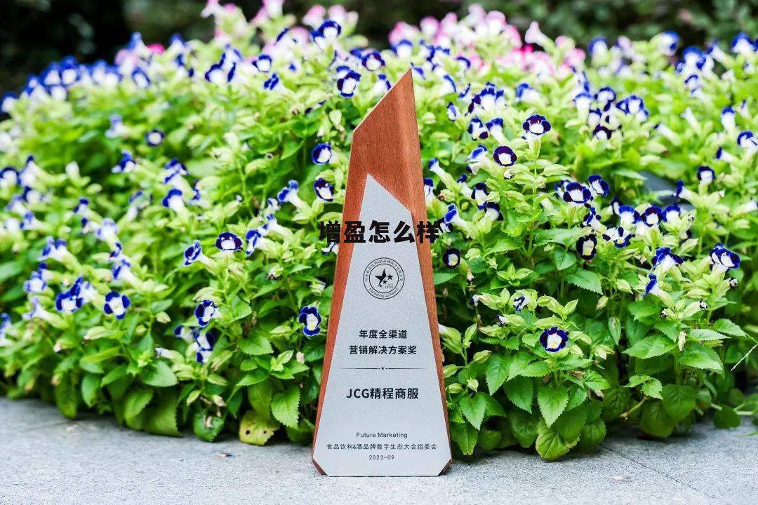 增盈理财 增盈怎么样