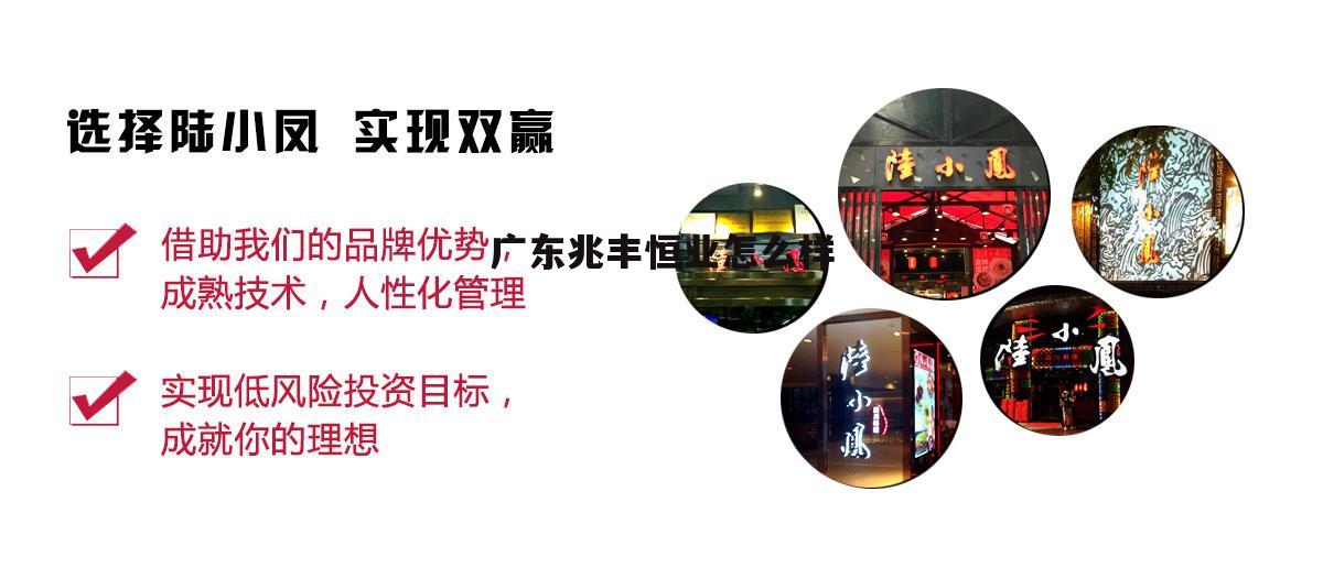广东兆丰恒业控股集团怎么样 广东兆丰恒业怎么样