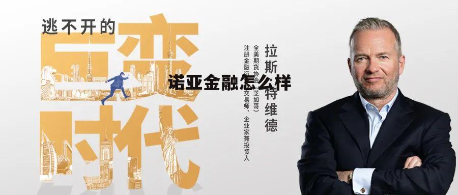诺亚金融服务股份有限公司 诺亚金融怎么样