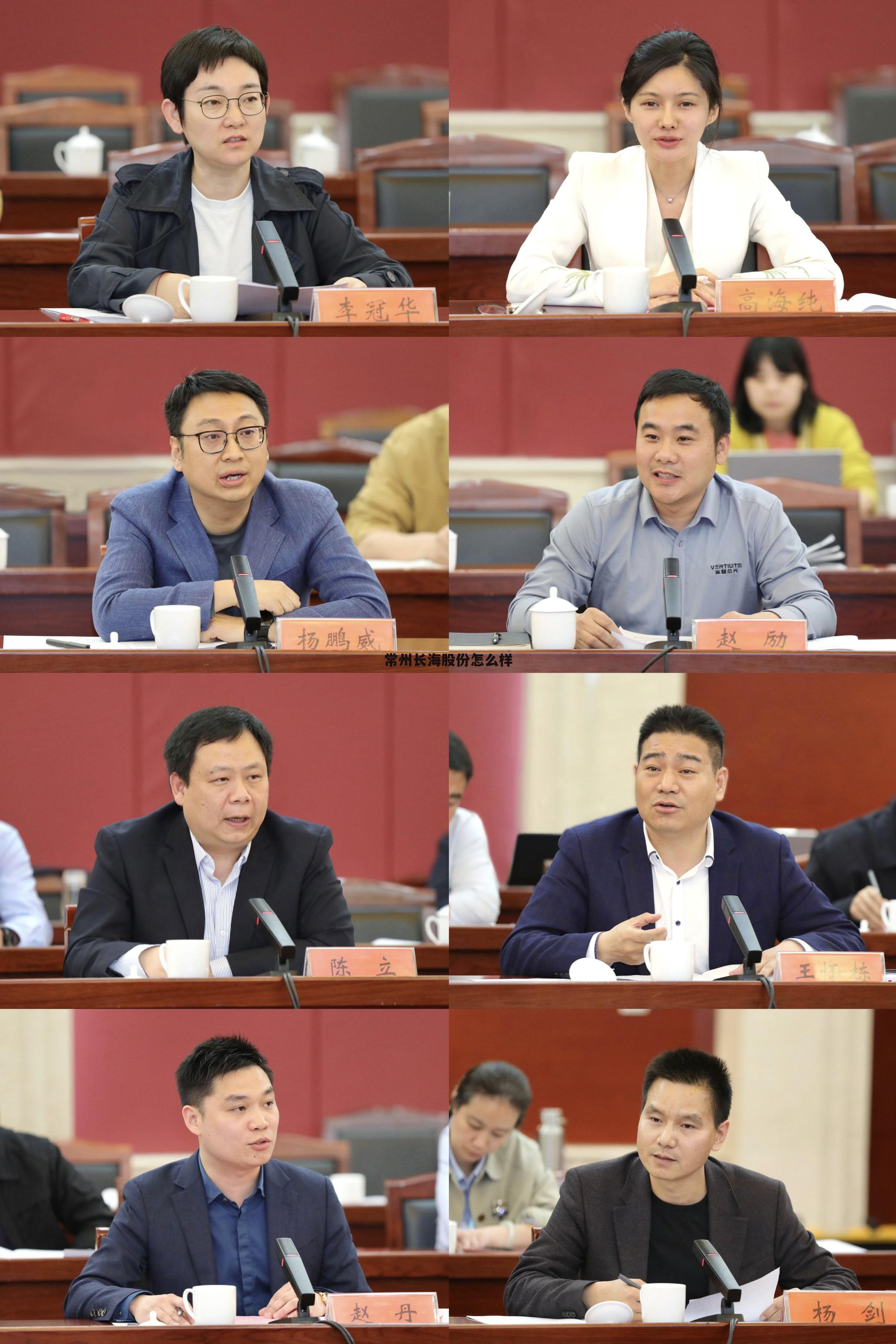 长海股份 铑 常州长海股份怎么样